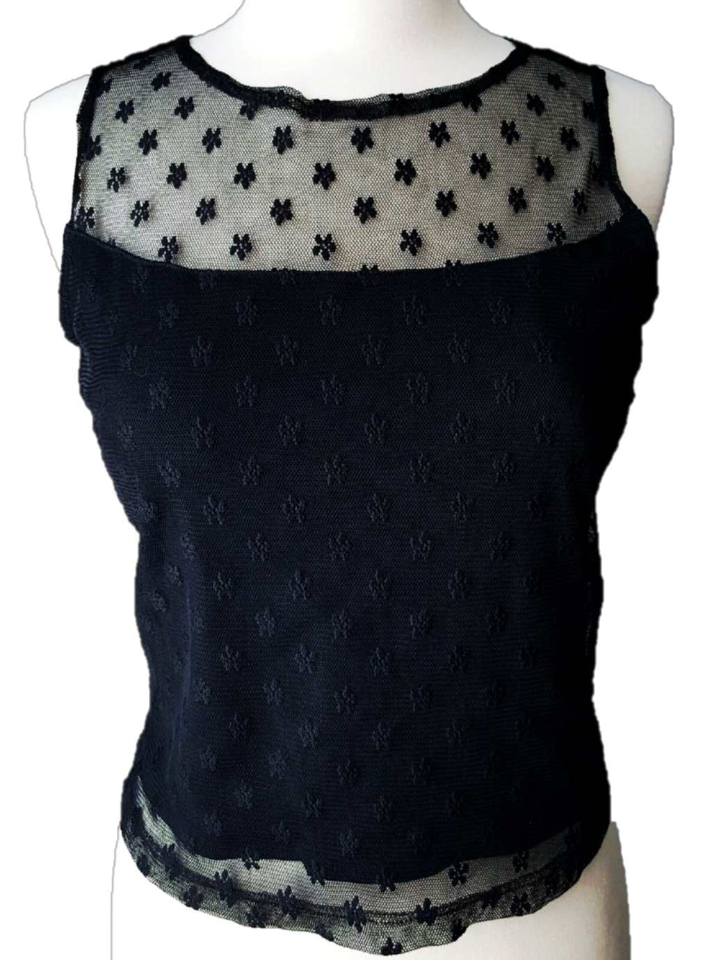 Sleeveless Sheer Top