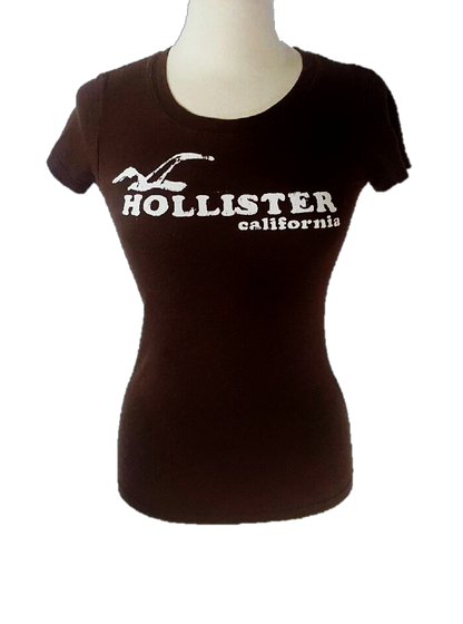 Hollister Top
