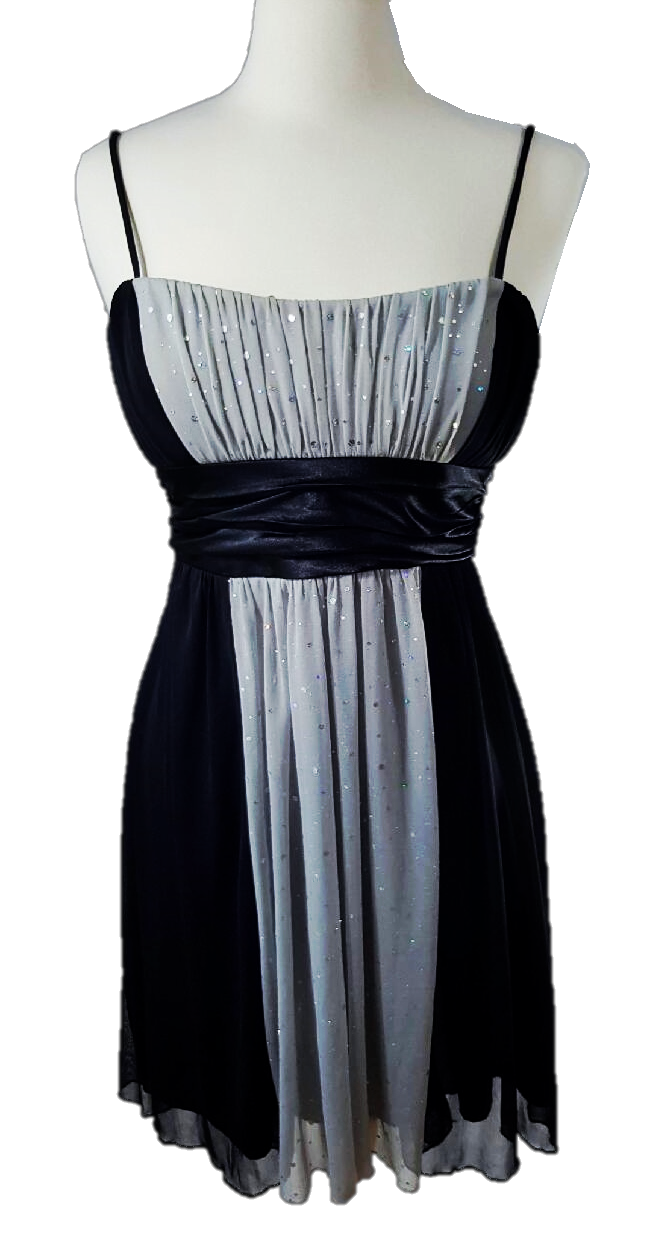 Glimmering Evening Dress