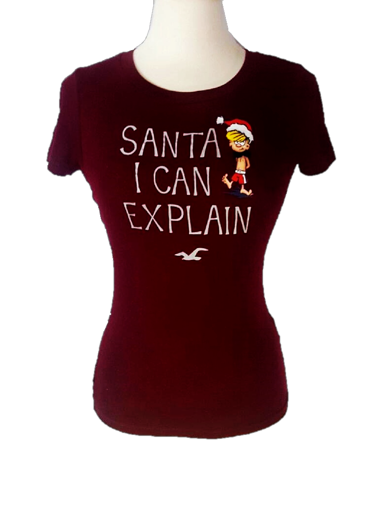 Hollister Christmas Top