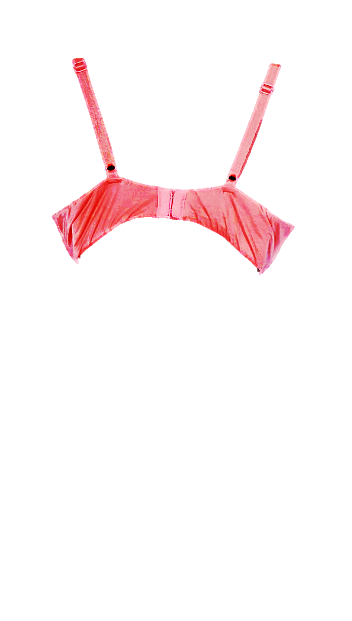 Shaped/Push Up Bra