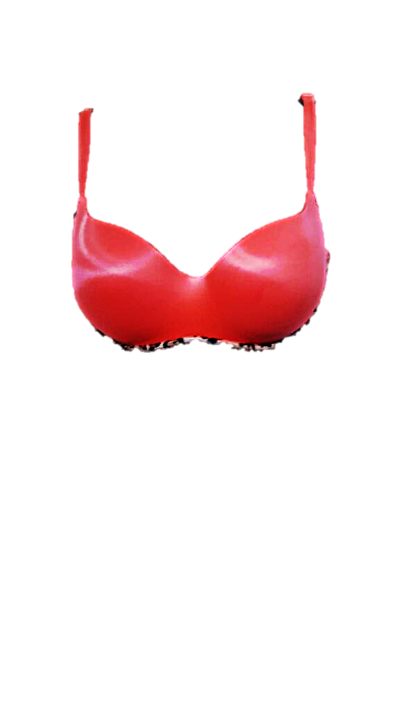 Shaped/Push Up Bra